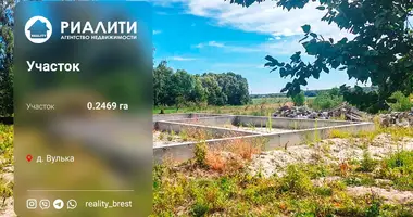 Plot of land in Carnaucycki sielski Saviet, Belarus