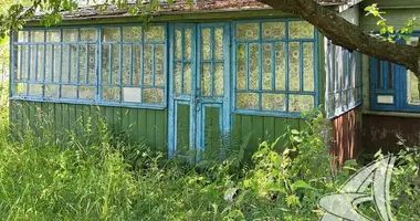 House in Robienka, Belarus