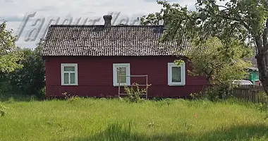 Dom w Vielikarycki sielski Saviet, Białoruś