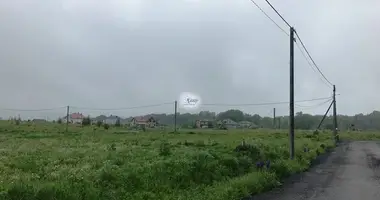 Plot of land in Holmogorovka, Russia