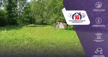 Plot of land in Aliachnovicki sielski Saviet, Belarus
