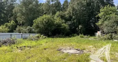Terrain dans Carnaucycki sielski Saviet, Bélarus