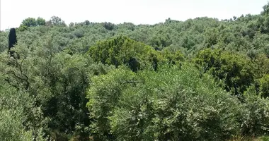Участок земли в Като Агиос Маркос, Греция