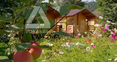 Plot of land in Ramensky District, Russia