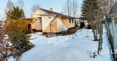 Haus in Piatryskauski sielski Saviet, Belarus