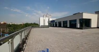 Commercial property 200 m² in Minsk, Belarus