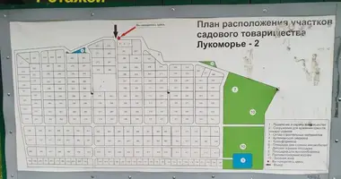 Plot of land in Piatryskauski sielski Saviet, Belarus