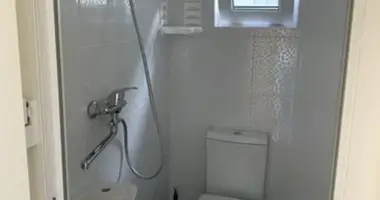 2 room house in Lymanka, Ukraine