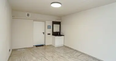 Commercial property 19 m² in Panevėžys, Lithuania