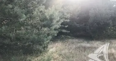 Участок земли в Радваничский сельский Совет, Беларусь