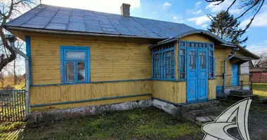 House in Panikvy, Belarus