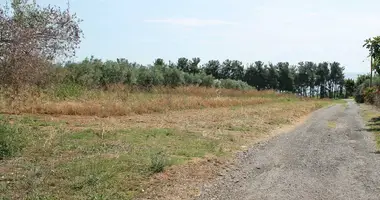 Plot of land in Makrygialos, Greece