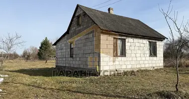 Haus in Kliejnikauski sielski Saviet, Belarus