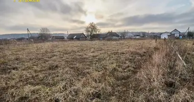 Działka w Augustowo, Białoruś