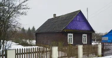 House in Ilya, Belarus