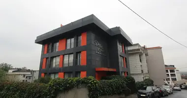 1 bedroom apartment in Fatih Caddesi, Turkey