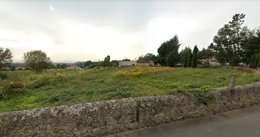 Terrain dans Portugal