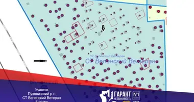 Участок земли в Пуховичский сельский Совет, Беларусь