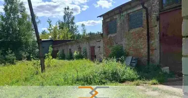 Producción 1 354 m² en Navakolasava, Belarús