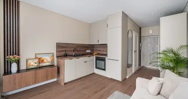 Apartamento 1 habitación en Vilna, Lituania