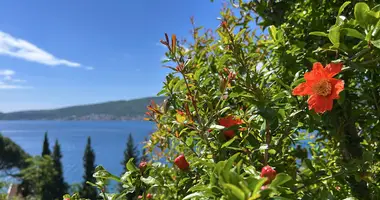 Appartement 2 chambres dans Herceg Novi, Monténégro