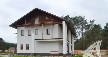 House in Damacauski sielski Saviet, Belarus