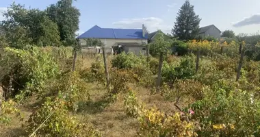 Casa 4 habitaciones en Nerubaiske, Ucrania