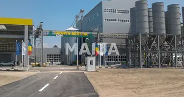 Büro 100 000 m² in Zimnicea, Rumänien