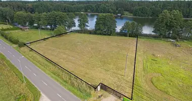 Plot of land in Senasis Tarpupis, Lithuania
