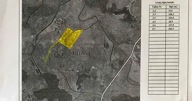 Działka w Gięświe, Litwa