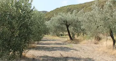 Terrain dans Kassandra Municipality, Grèce