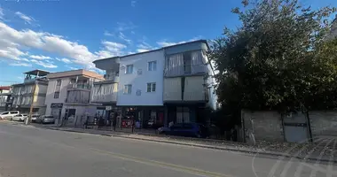 Commercial property 577 m² in Merkezefendi, Turkey