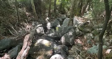 Mieszkanie w Pano Platres, Cypr