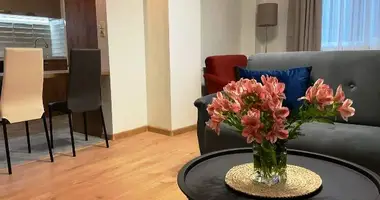 Apartment for rent in Tbilisi, Vera en Tiflis, Georgia