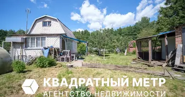 House in Cervienski sielski Saviet, Belarus