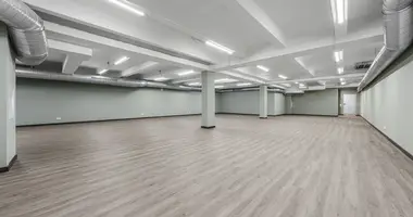 Propriété commerciale 290 m² dans Vilnius, Lituanie