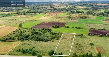 Plot of land in Rukainiai, Lithuania