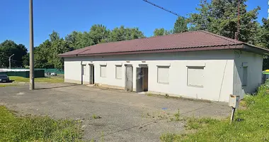 Zakład produkcyjny 107 m² w Mińsk, Białoruś