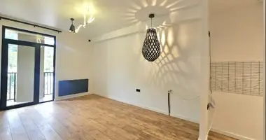 1 bedroom apartment in Tbilisi, Georgia