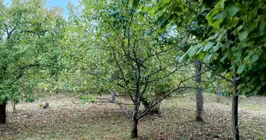 Участок земли в Anninskoe gorodskoe poselenie, Россия