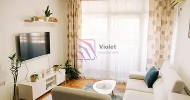 Appartement 2 chambres dans 14 a, Monténégro