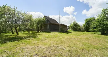 House in Barauski sielski Saviet, Belarus