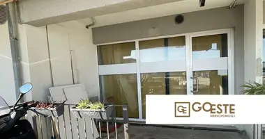 Apartment in Opcina Dezanovac, Croatia
