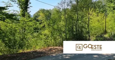 Działka w Opcina Dezanovac, Chorwacja