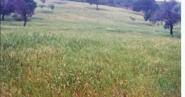 Участок земли в South Pilio Municipality, Греция