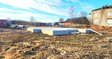 Участок земли в Плисский сельский Совет, Беларусь