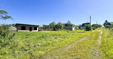 Haus in Aliachnovicki sielski Saviet, Belarus