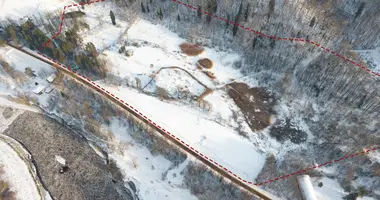 Dom 12 pokojów w Zygwold, Łotwa