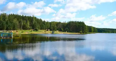 Grundstück in Barauski sielski Saviet, Belarus