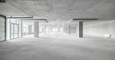Propiedad comercial 1 005 m² en Minsk, Belarús